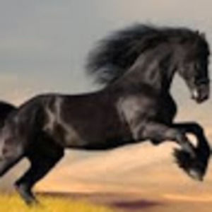 Meet your Posher, Santos